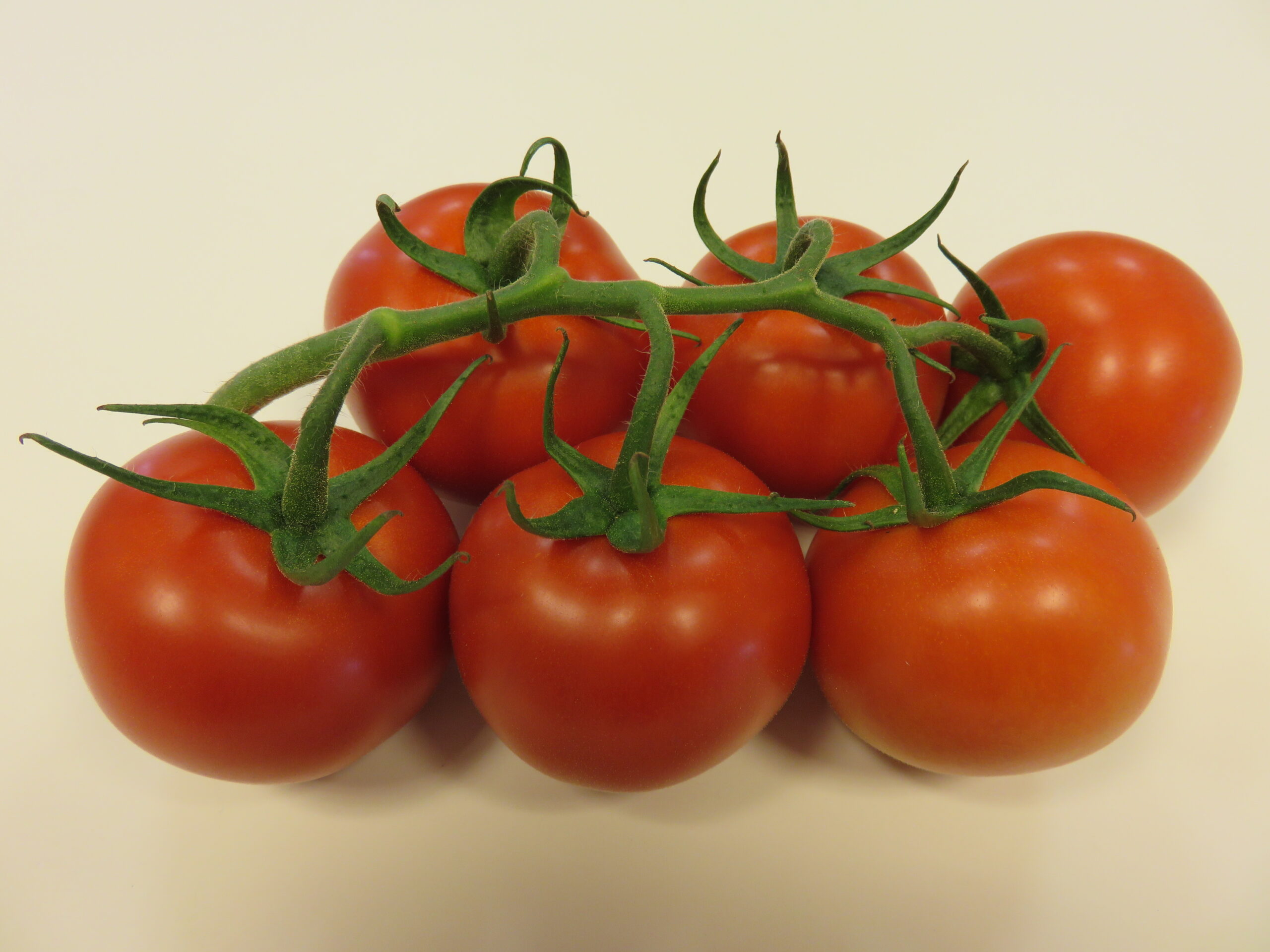 Plastikreduzierung mit unserer Tomate Sensera