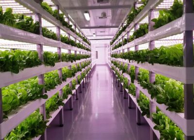 Want to know more on Vertical Farming? Jasper den Besten is going to explain it all
