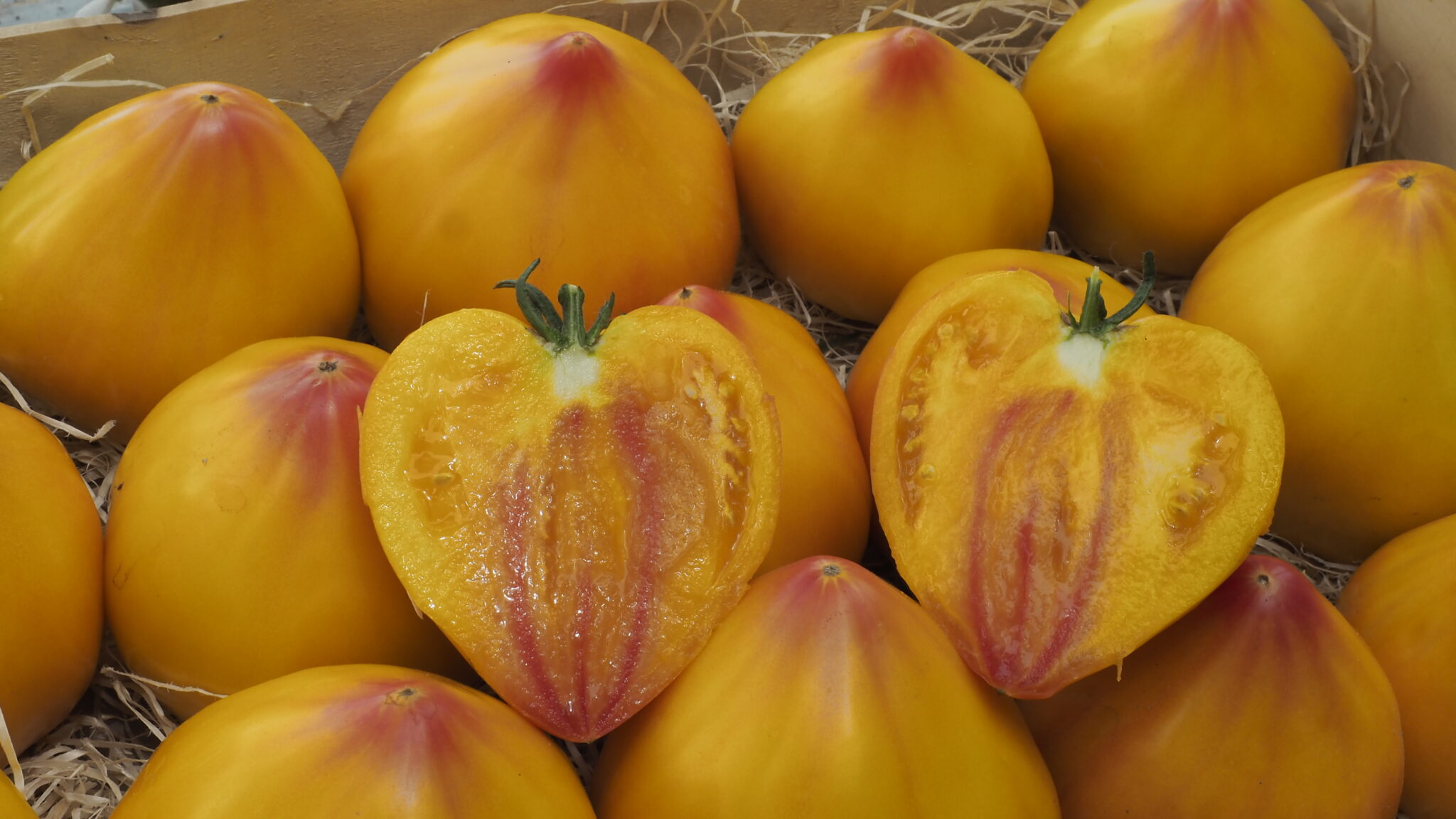 Tomaten Germany
